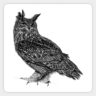 Eurasian eagle owl Magnet